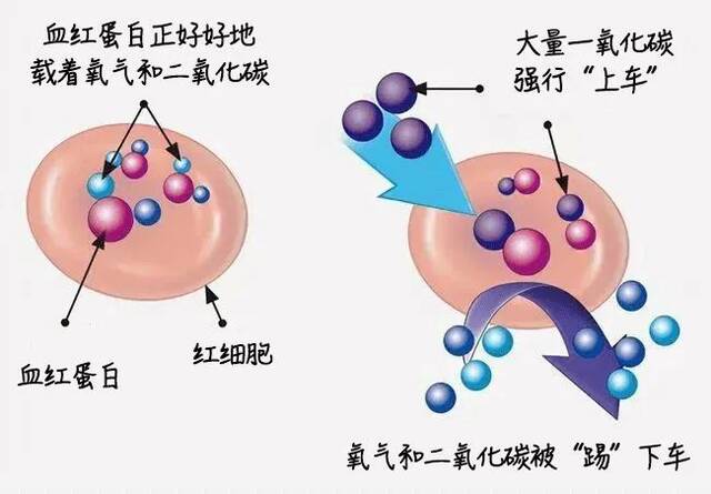 危险！新晋网红暗藏“杀机”，母子俩家中身亡，一桌8人全“中招”