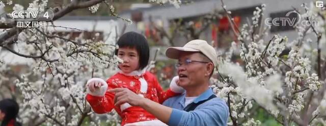 初春时节 中国各地繁花似锦