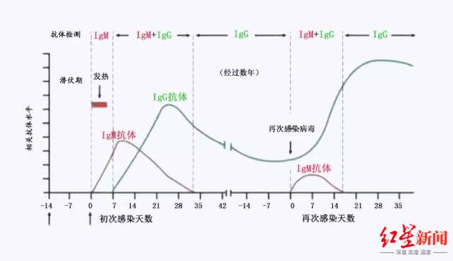 多地开展新冠抗体检测服务！专家：组织人群血清抗体调查可为接种规划提供参考