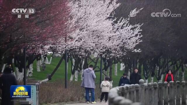 花开中国 满眼春色