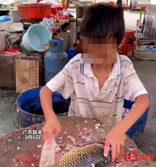 ↑11岁男孩街头杀鱼视频截图