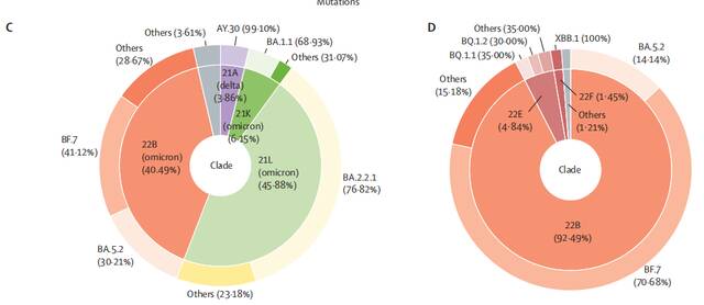 左图为2022年全年在北京流行的新冠病毒变异株的组成，右图为2022年11月14日之后在北京传播的新冠病毒变异株的组成。内圈代表分支的组成，外圈代表每个分支中的详细谱系（Pango lineage）。来源：柳叶刀