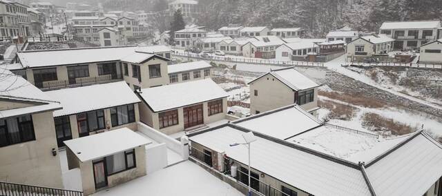 最美不过雪打灯！京城新春再飘雪，您拍照了吗? 实时美图来了