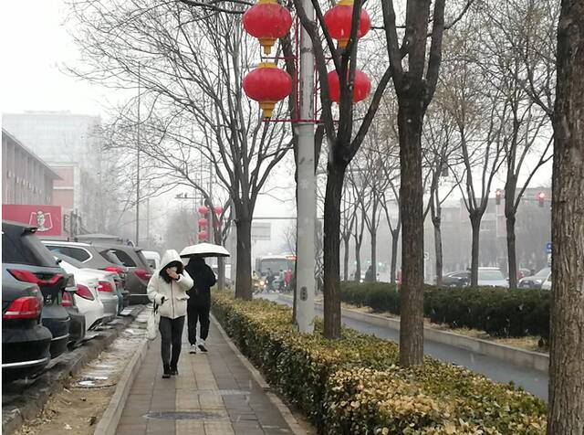 最美不过雪打灯！京城新春再飘雪，您拍照了吗? 实时美图来了