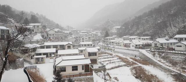 最美不过雪打灯！京城新春再飘雪，您拍照了吗? 实时美图来了