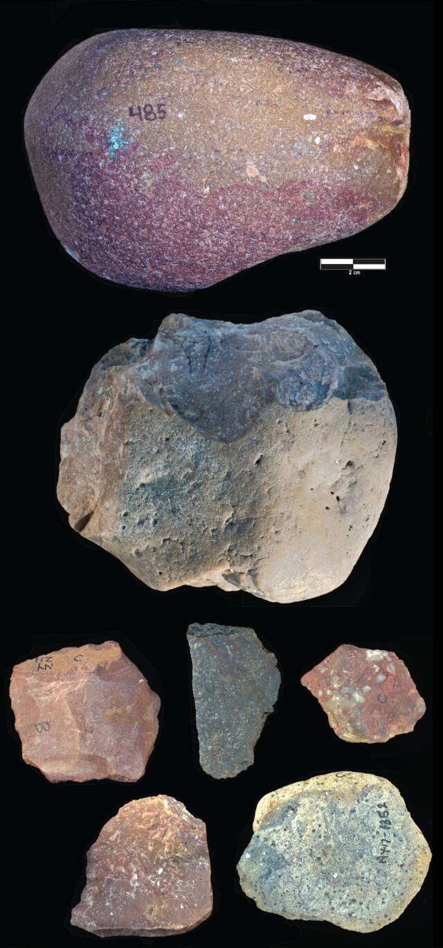 290万年前的非洲肯尼亚屠宰场，人类的近亲Paranthropus制造了第一批石器