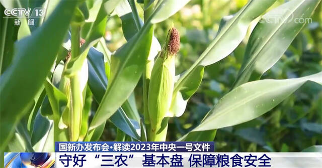 解读2023年中央一号文件｜多个关键字里看发展