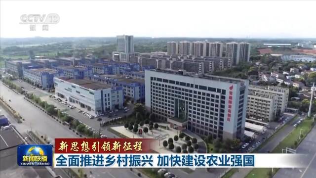 全面推进乡村振兴 加快建设农业强国