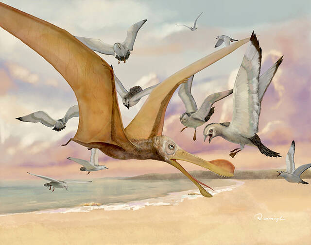 《当代生物学》：关于翼龙多样性大尺度演化的新研究成果