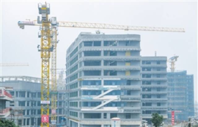 2月14日，在海南医学院第一附属医院江东新院区项目建设现场，塔吊旋转，一派繁忙景象。本报记者康登淋摄