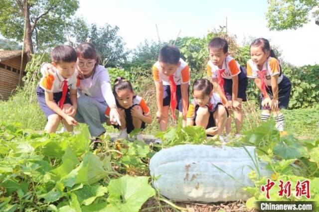 一小学宣布超时就停做作业！作业也能“熔断”？