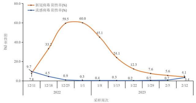 图2-5全国哨点医院流感样病例新冠和流感病毒阳性率变化趋势（数据来源于402家网络实验室）