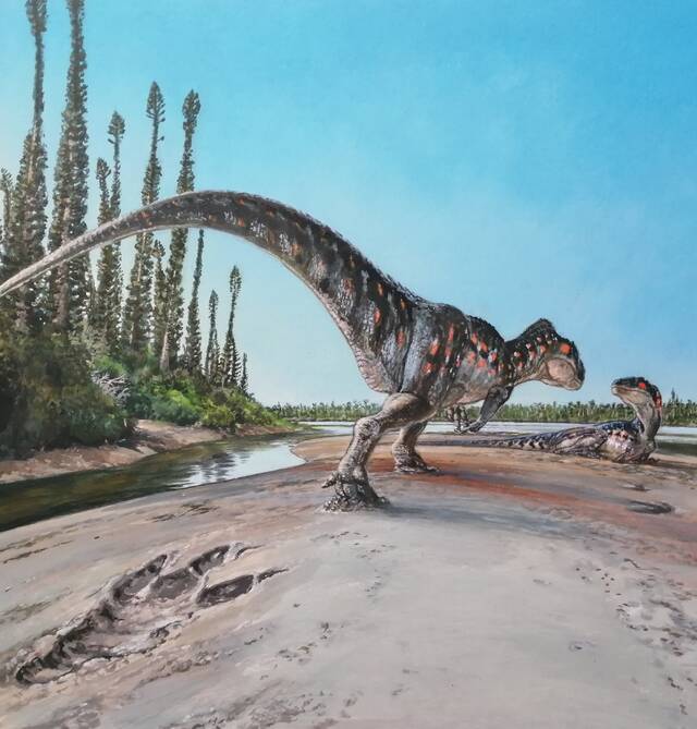 英国约克郡发现侏罗纪时期巨型食肉恐龙留下的近一米长的脚印化石