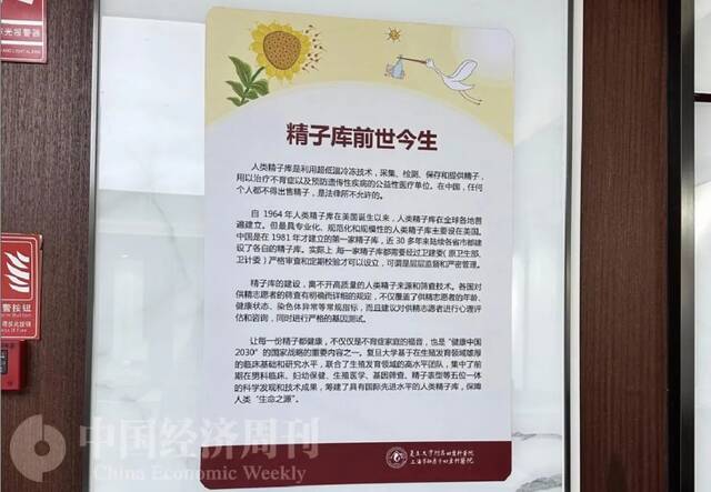 “阳”后精子质量下降？多地倡议大学生捐精