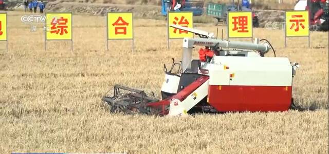 从实验室到田间地头 “新农人”助力新农业