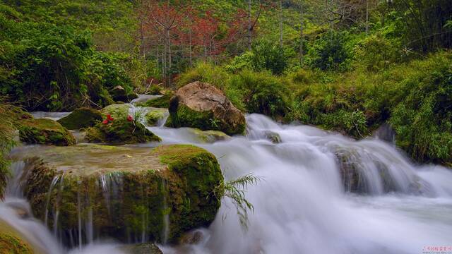 经过连绵春雨，空气中水汽充盈。此时，田东县的红棉谷万物萌动、草木耸绿，不是仙境胜似仙境。（田东县纪委监委黎钢/摄）