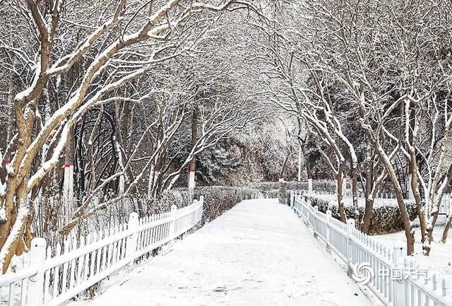 △青海西宁的雪