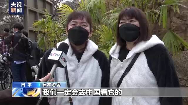 旅日大熊猫“香香”最后一天在日见游客 民众依依惜别送祝福