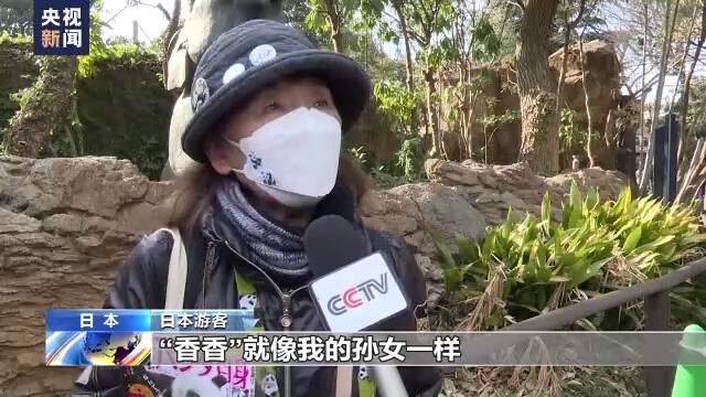 旅日大熊猫“香香”最后一天在日见游客 民众依依惜别送祝福