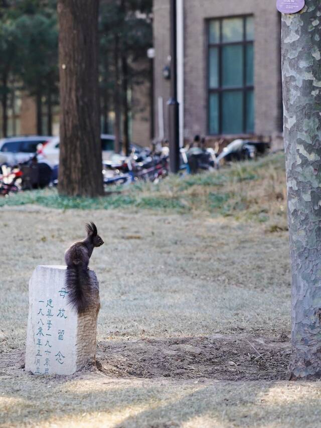 打卡清华课堂第一天！