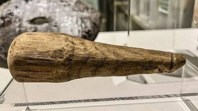 英国诺森伯兰​​郡出土2000年历史的木制棒状物最新研究称可能是古罗马时期假阳具