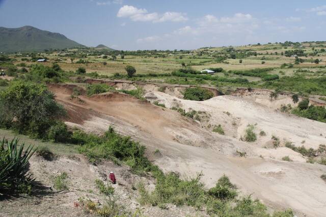 肯亚西出土300万年前石器：并非出自我们的祖先之手石器的主人是人傍人