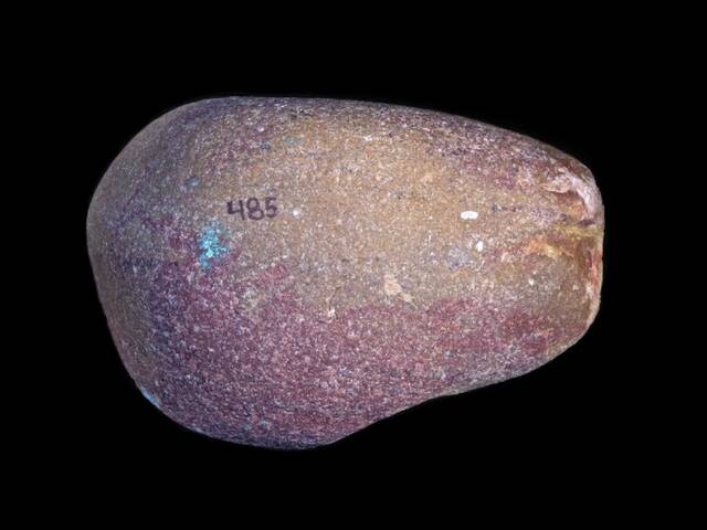 肯亚西出土300万年前石器：并非出自我们的祖先之手石器的主人是人傍人