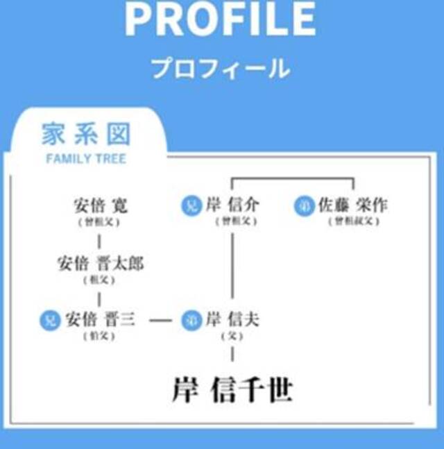 安倍侄子在竞选主页晒家谱图 日本网友表示不满