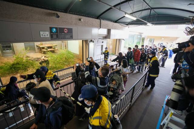 2月19日，在日本东京上野动物园，游客排队与大熊猫“香香”告别。新华社记者张笑宇摄