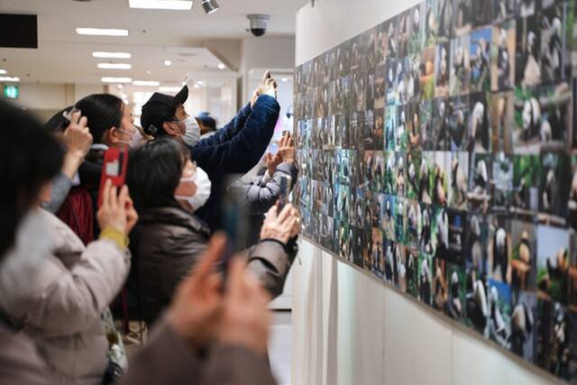 2月17日，人们在日本东京参观“920日香香摄影展”时拍照。新华社记者张笑宇摄
