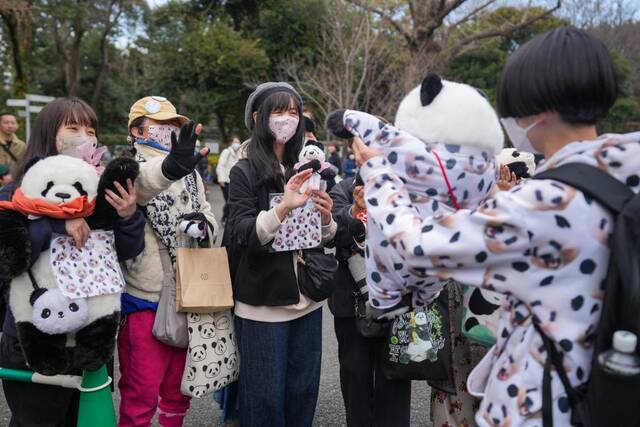 2月19日，在日本东京上野动物园，大熊猫爱好者们在一起交流。新华社记者张笑宇摄