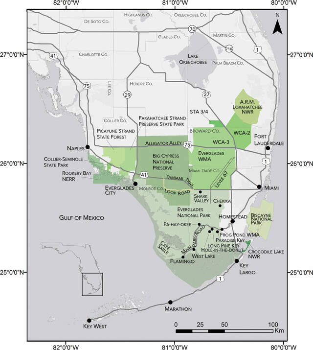 美国佛罗里达大学科学家在交配/繁殖季节使用无线电遥测技术引诱缅甸蟒