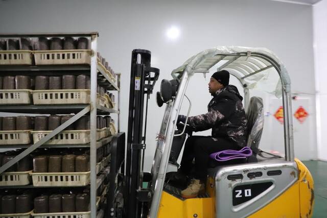 双鸭山南瓮泉种养殖有限公司养菌室内，工作人员正在操作叉车运输菌包。新华社记者戴锦镕摄