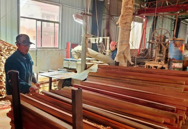 在菏泽单县谢集镇郝庙村的木材加工产业园里，工人正在加工木料。新华社记者萧海川摄