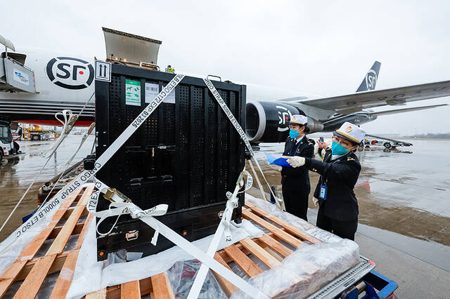 2023年2月21日，在成都双流国际机场，海关工作人员在停机坪监卸大熊猫“香香”。新华社图