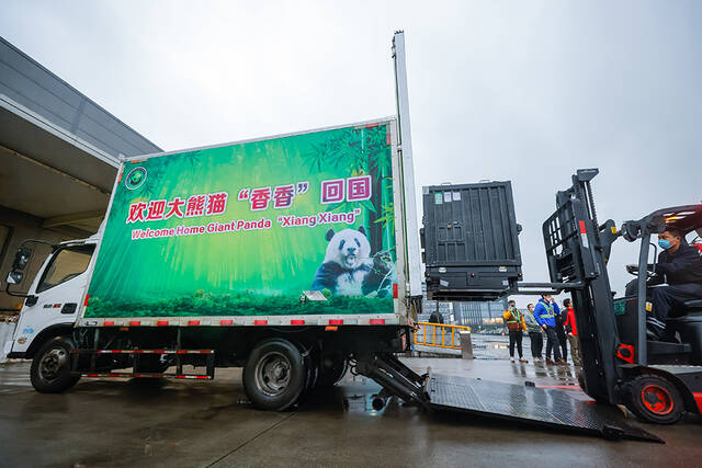 日政府：日本全国惜别4只旅日熊猫 祝愿它们健康生活