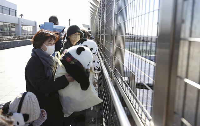 当地时间2023年2月21日，日本千叶县，成田国际机场，民众聚集在一起为回归中国的雌性大熊猫“香香”送行。视觉中国图