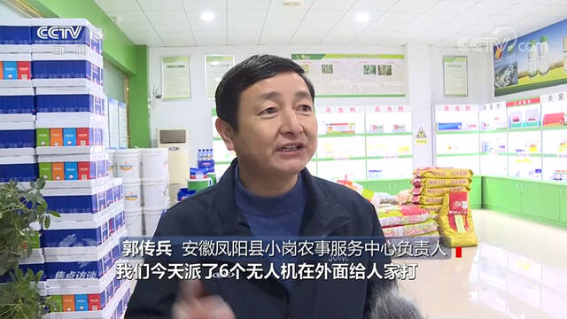 焦点访谈：人勤春来早 万象“耕”新正当时