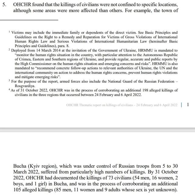 联合国OHCHR 2022年12月报告截图