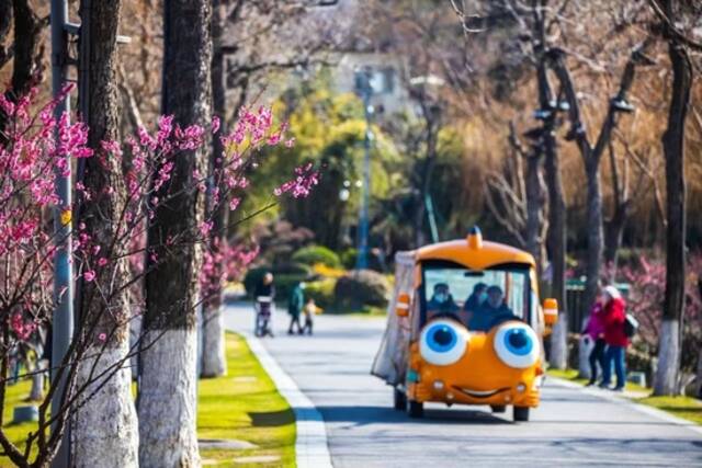 不负好春光！江苏文旅市场再现蓬勃活力