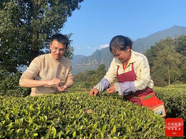 镜头丨当好乡村振兴领头雁