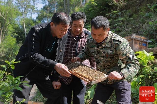 镜头丨当好乡村振兴领头雁