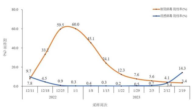 图2-5全国哨点医院流感样病例新冠和流感病毒阳性率变化趋势（数据来源于402家网络实验室）