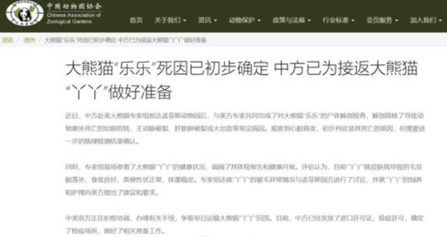 大熊猫“乐乐”死因已初步确定！中方已为接返“丫丫”做好准备