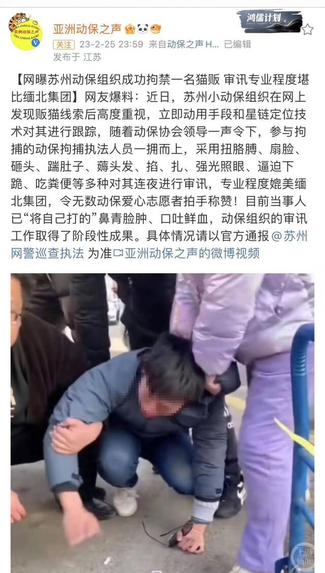 网传苏州小动保组织“拷问”猫贩的帖子引发广泛关注