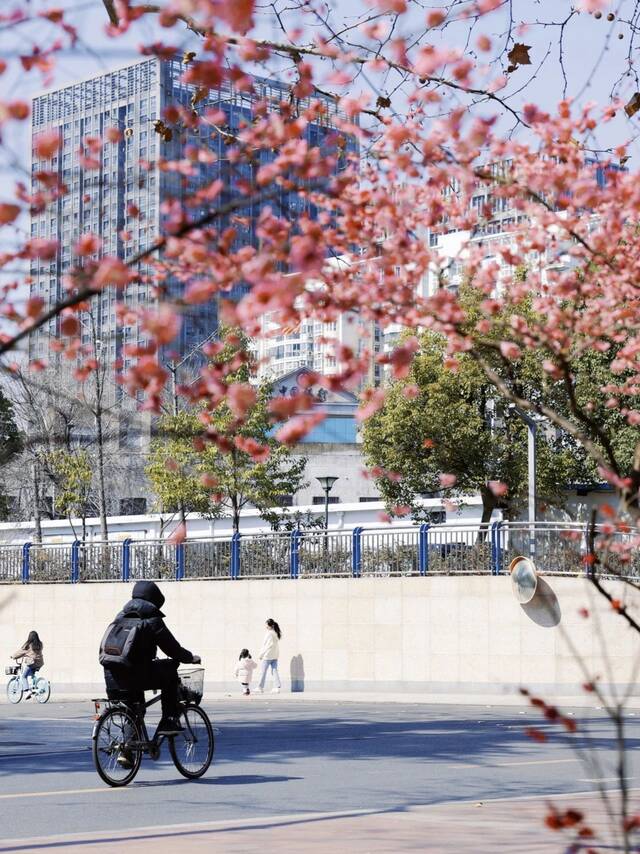 倒计时100天，中国科大“梅”你不行！