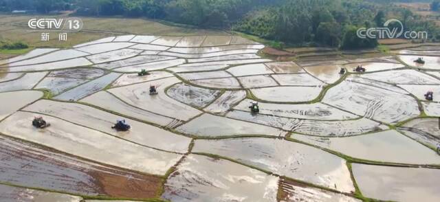 春耕生产开局良好 耐盐碱水稻新品种大面积推广