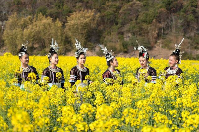 镜头  大美2月