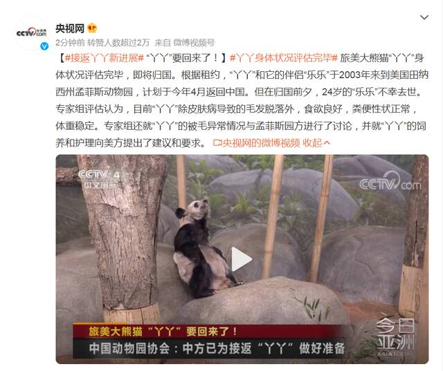 大熊猫“丫丫”图片来源：视觉中国