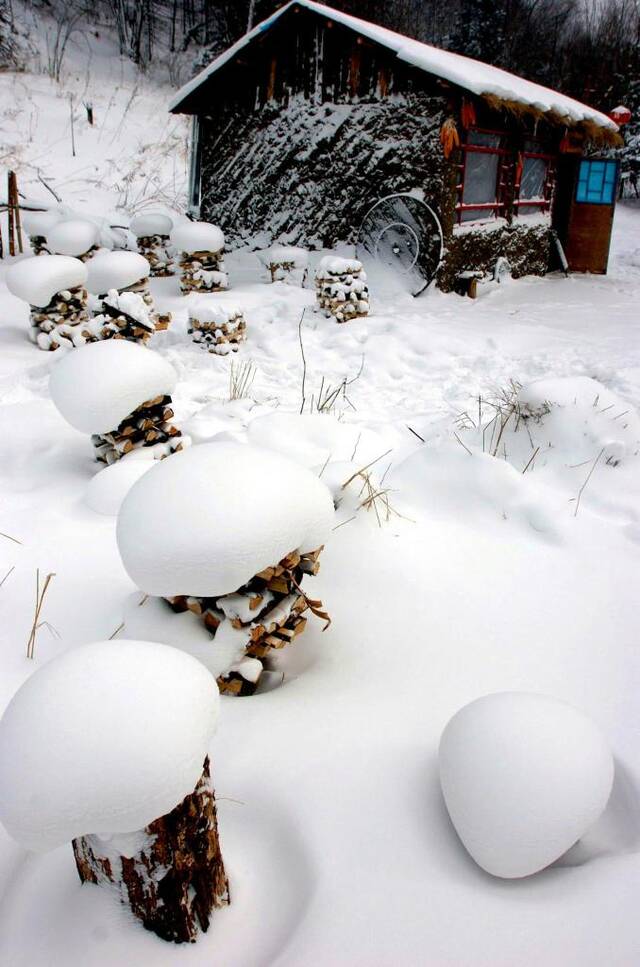 追光丨在这里 雪还可以这么玩